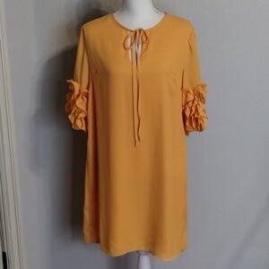 Daniel Cremieux Shift Dress Goldish Ruffle Short Sleeve Size Medium